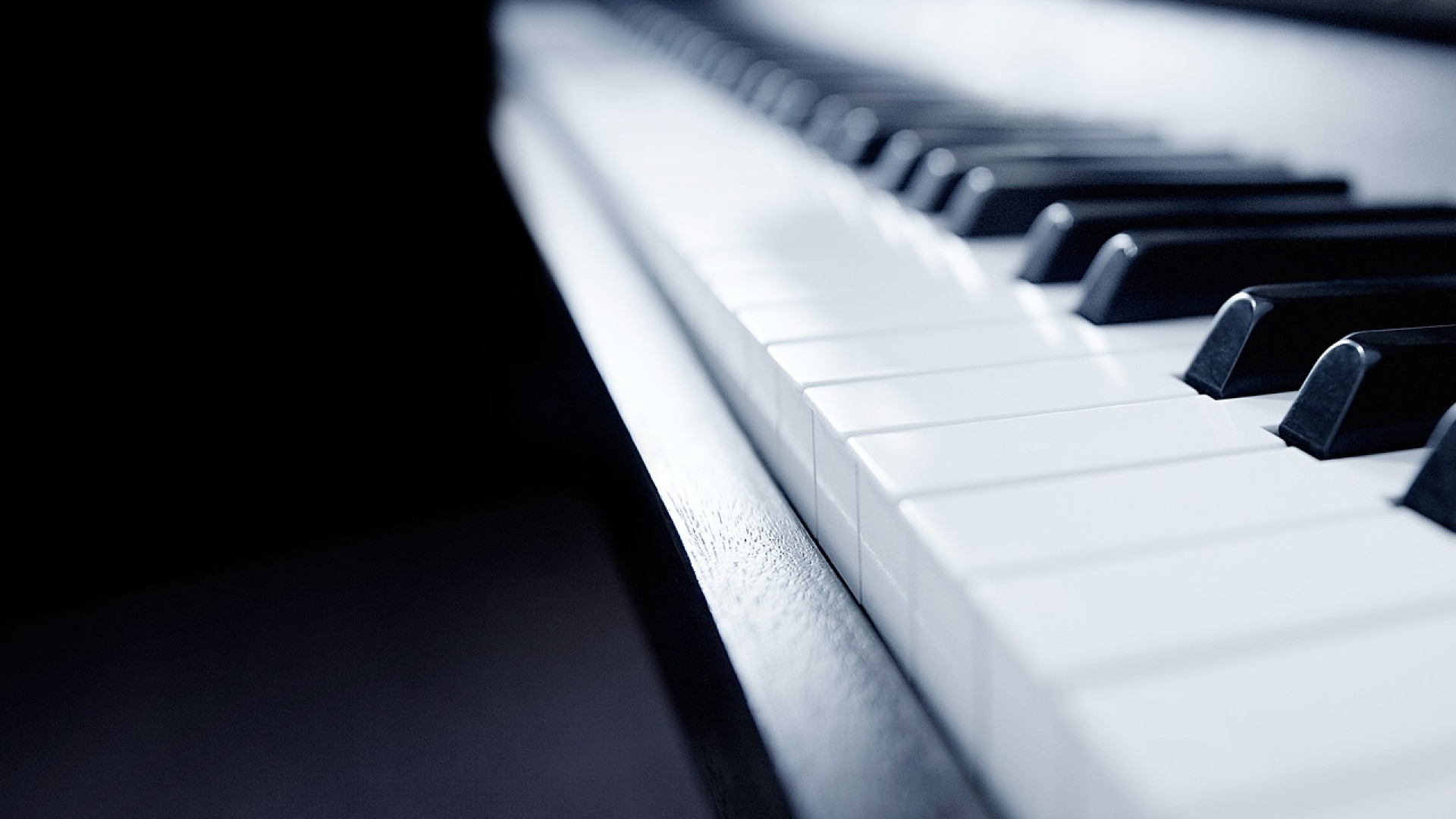 Que peut-on faire dans un magasin de location de piano ?