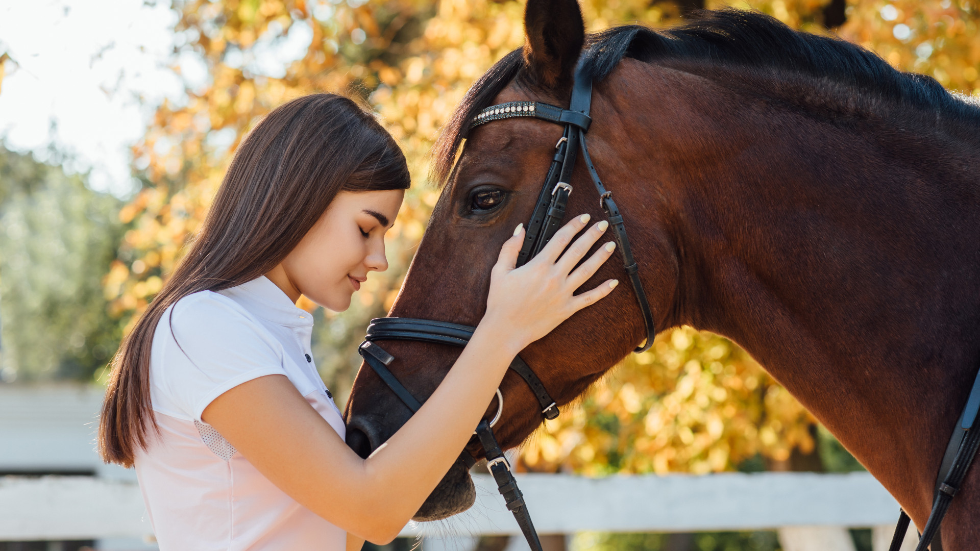 Huile de cade : prenez soin de votre cheval avec efficacité